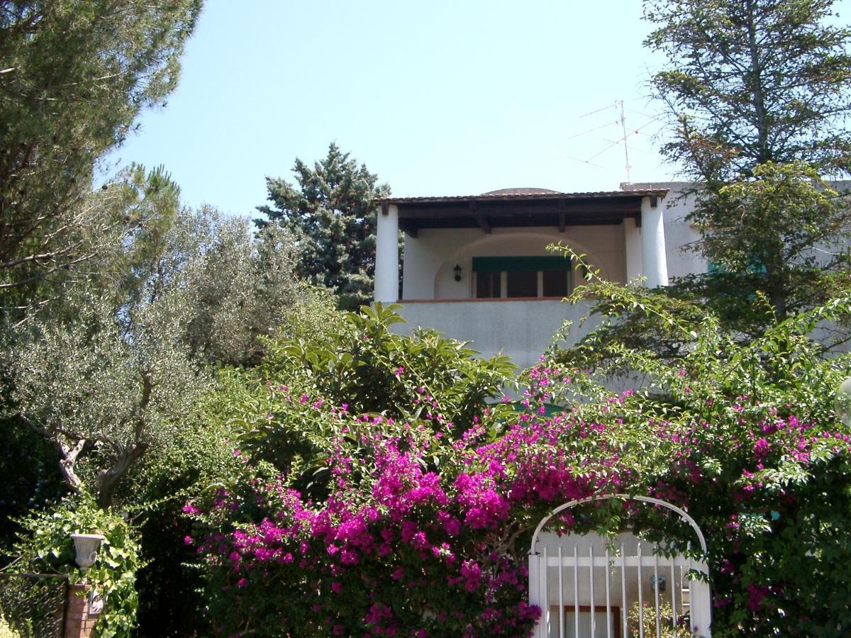 אנה קאפרי Villa Matisse - Damecuta Park מראה חיצוני תמונה